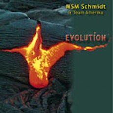 MSM Schmidt Evolution